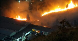 Incêndio em mata entre os bairros Olhos D'Água e Buritis, em BH