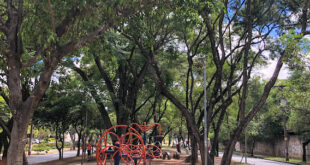 Pista de caminhada da Avenida José Cândido da Silveira, em BH