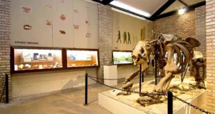Museu de História Natutural da UFMG amplia o funcionamento