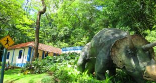 Museu de História Natural e Jardim Botânico da UFMG (MHNJB)