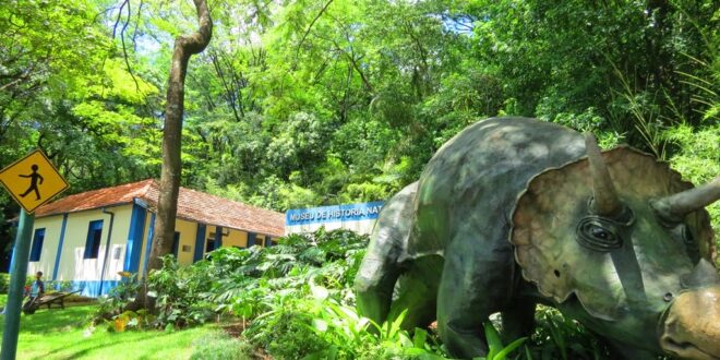 Museu de História Natural e Jardim Botânico da UFMG (MHNJB)